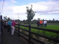 Zwangspause vor irischem Farmhaus