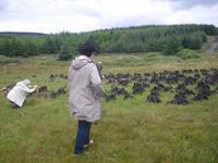 Torfstechen im Burren