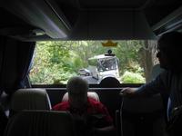 Stau auf dem Ring of Kerry