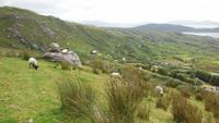 Ring of Kerry