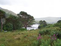 Aasleagh Falls 