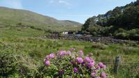 Aasleagh Waterfall