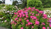 Bantry House