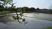 Bantry