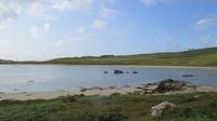 Barleycove Beach