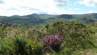 Beara Halbinsel