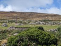 Beehive Huts