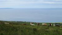 Blick zu den Aran-Inseln 