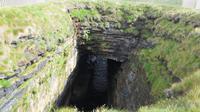 Blowhole
