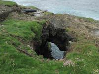 Blowhole