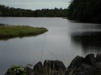Bucht