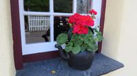 Bunratty Folk Park