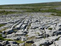 Burren- Landschaft