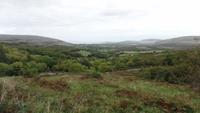 Burren
