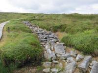 Ceide Fields