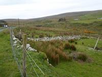 Ceide Fields