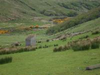 Ceide Fields