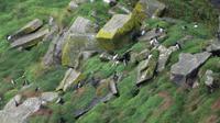 Cliff of Moher  ...