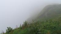 Cliff of Moher  ...Wo?