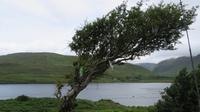 Connemara Killary Harbour