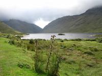 Connemara-Rundfahrt