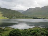 Connemara-Rundfahrt