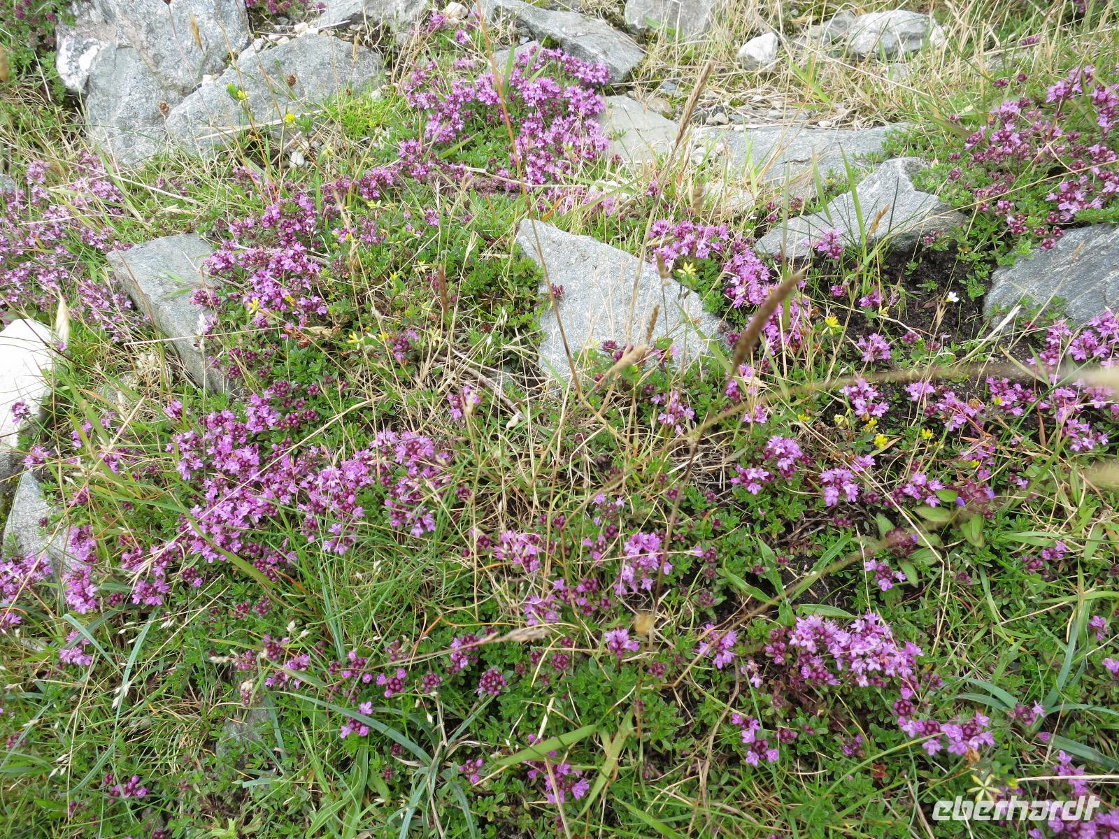Connemara