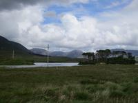 Connemara