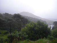 Connemara