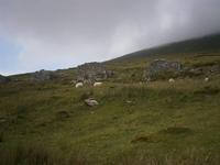 Deserted Village