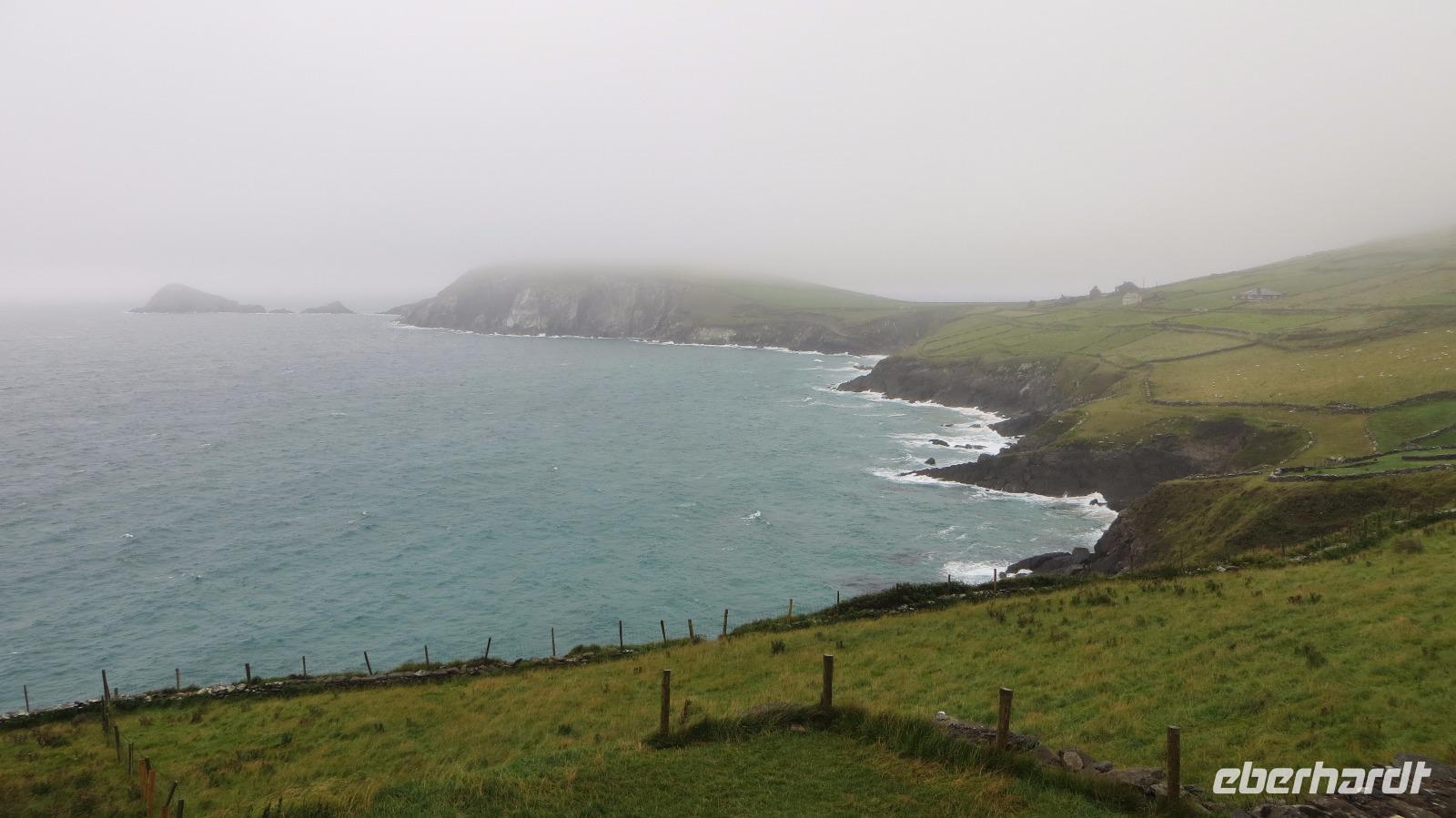 Dingle