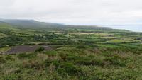 Dingle