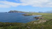Dingle