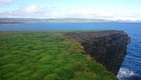 Down Patrick Head 4