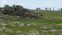 Downpatrick Head