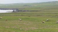 Downpatrick Head