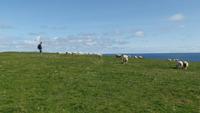 Downpatrick Head