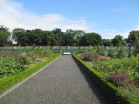 Dublin Phönix Park