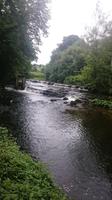 Flusslandschaft in Irland