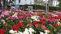 Galway