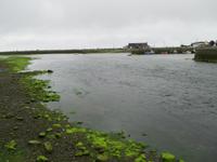 Galway