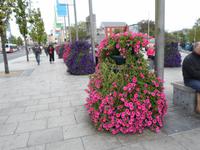 Galway