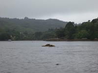 Garinish Island