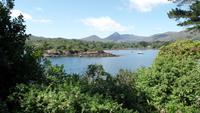Garinish Island