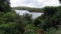 Garinish Island