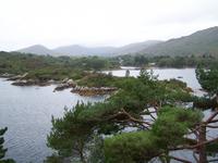 Garinish Island