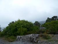 Garinish Island