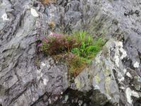 Healy Pass
