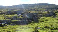 Healy Pass