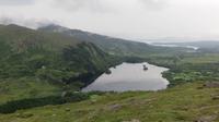Healypass